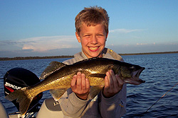 Walleye